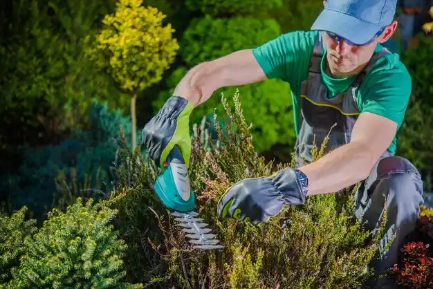 landscaping services Olive Hill
